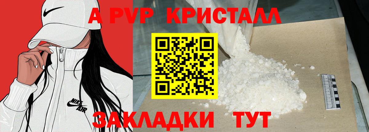 Alfa_PVP СК Сунжа