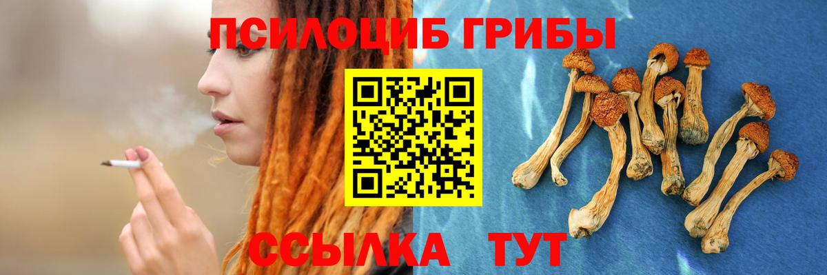 Псилоцибиновые грибы мицелий  Вход с VPN  как найти   Сунжа 