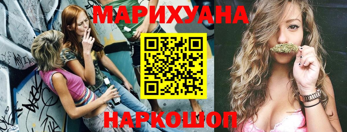 Каннабис планчик Сунжа